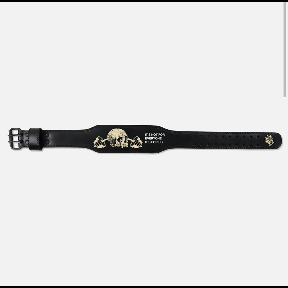 Darc sport weight belt